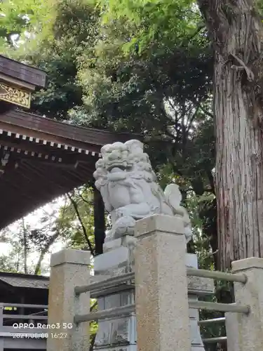 艫神社の狛犬