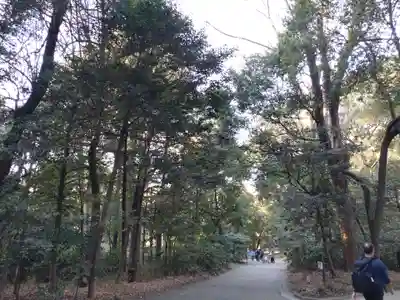 明治神宮(東京都)