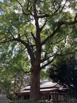 王子神社(東京都)