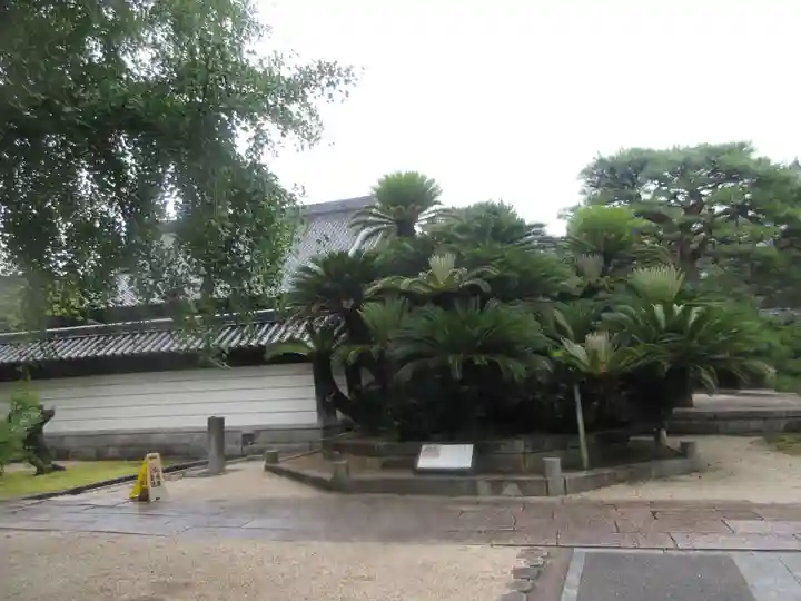 梅林寺(福岡県)