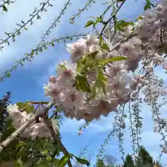 豊景神社(福島県)