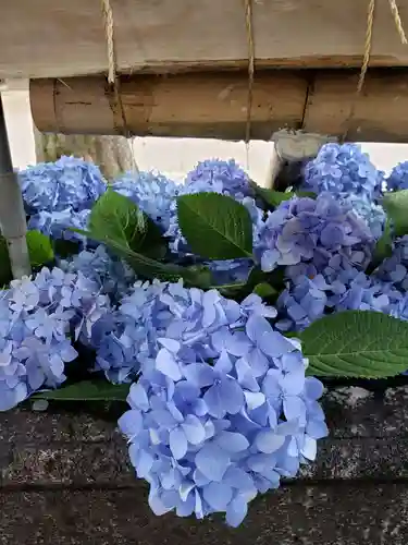 鳩森八幡神社の手水舎