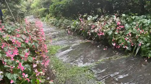 慈光寺(埼玉県)