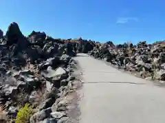 寛永寺別院浅間山観音堂の自然