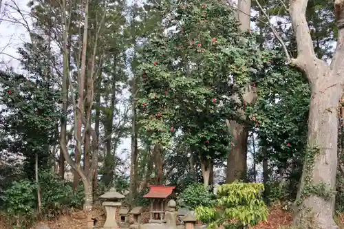 阿久津「田村神社」（郡山市阿久津町）旧社名：伊豆箱根三嶋三社の末社・摂社