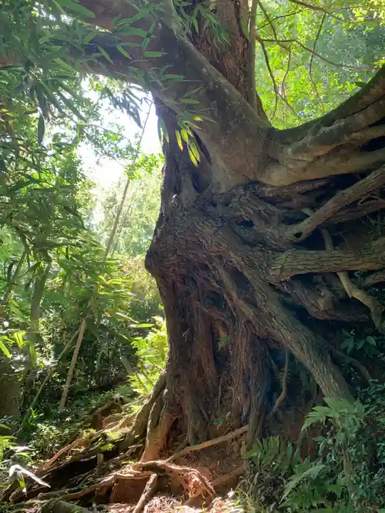金刀比羅神社(千葉県)
