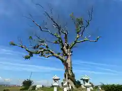 大木神社跡地(三重県)