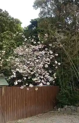 比佐豆知神社(三重県)