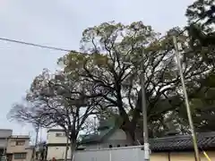 高砂神社の自然