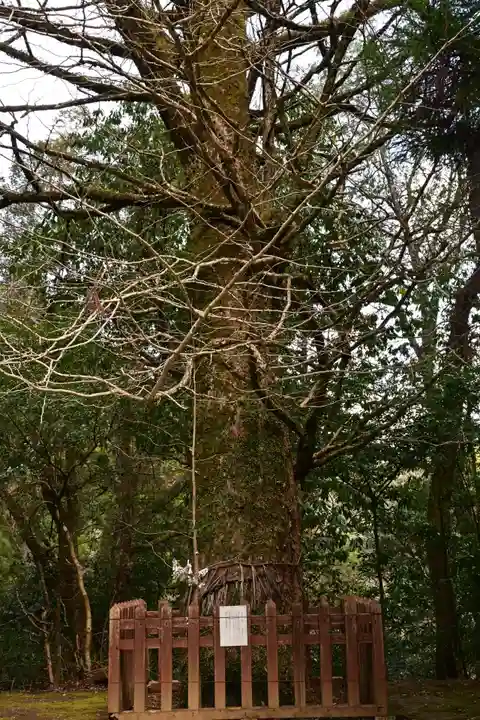 二上神社(宮崎県)