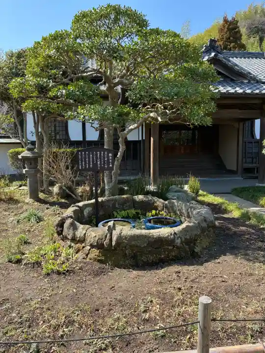 極楽寺(霊鷲山感應院極楽律寺)の{uncategorized: "未分類", other: "その他", undefined: "問題あり", building: "その他建物", grave: "お墓", sacred_gate: "鳥居", guardian: "狛犬", statue: "像", buddha: "仏像", history: "歴史", nature: "自然", garden: "庭園", animal: "動物", pagoda: "塔", temizu: "手水舎", mountain_gate: "山門・神門", sanctuary: "本殿・本堂", subordinate: "末社・摂社", art: "芸術", scenery: "景色", jizo: "地蔵", ema: "絵馬", goshuin: "御朱印", omikuji: "おみくじ", items: "授与品その他", amulet: "お守り", goshuincho: "御朱印帳", eats: "食事", festival: "お祭り", votive_dance: "神楽", shichigosan: "七五三参", wedding: "結婚式", experience: "体験その他", initially: "初詣", around: "周辺", anti_infection: "感染症対策"}
