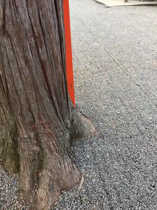 吉田神社(京都府)