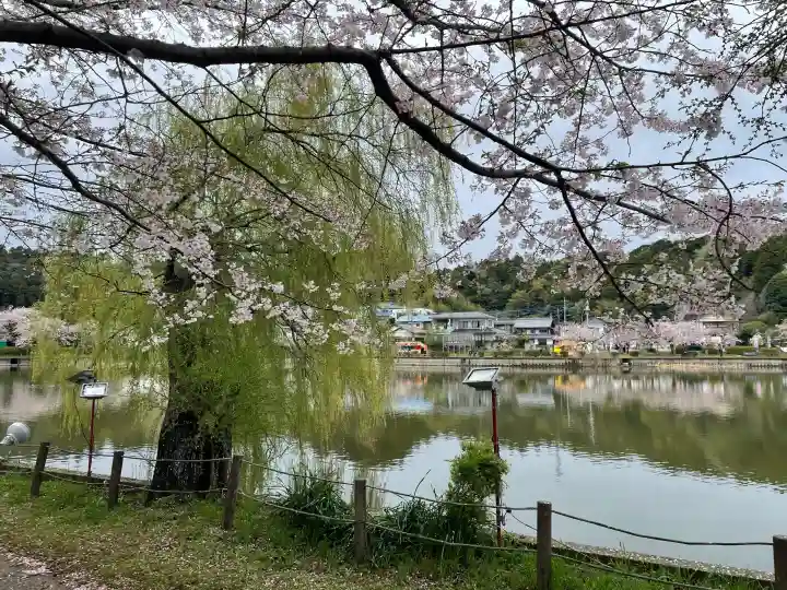 厳島神社 谷弁財天の{uncategorized: "未分類", other: "その他", undefined: "問題あり", building: "その他建物", grave: "お墓", sacred_gate: "鳥居", guardian: "狛犬", statue: "像", buddha: "仏像", history: "歴史", nature: "自然", garden: "庭園", animal: "動物", pagoda: "塔", temizu: "手水舎", mountain_gate: "山門・神門", sanctuary: "本殿・本堂", subordinate: "末社・摂社", art: "芸術", scenery: "景色", jizo: "地蔵", ema: "絵馬", goshuin: "御朱印", omikuji: "おみくじ", items: "授与品その他", amulet: "お守り", goshuincho: "御朱印帳", eats: "食事", festival: "お祭り", votive_dance: "神楽", shichigosan: "七五三参", wedding: "結婚式", experience: "体験その他", initially: "初詣", around: "周辺", anti_infection: "感染症対策"}