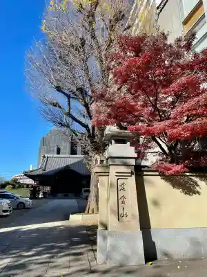 長泉寺(東京都)