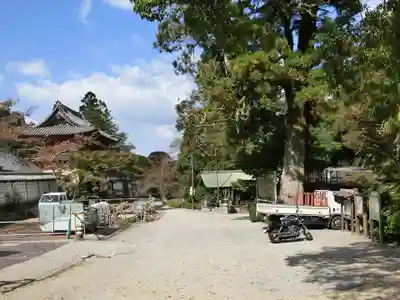 金剛寺のその他建物
