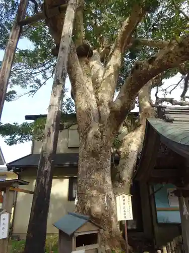 御霊神社(神奈川県)
