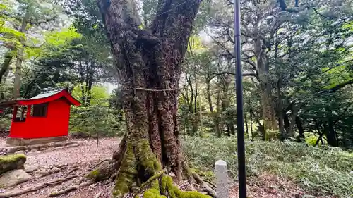 稲荷神社(福井県)