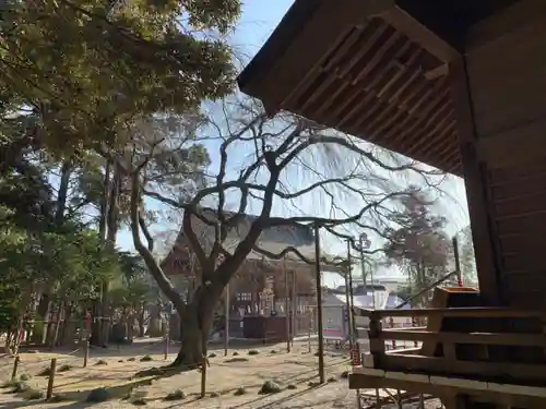 常陸第三宮　吉田神社のその他建物