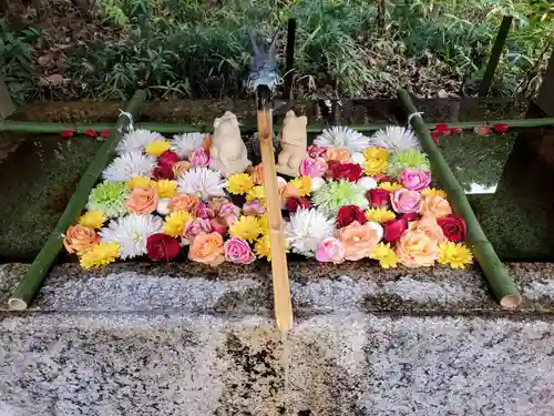 今市瀧尾神社(栃木県)