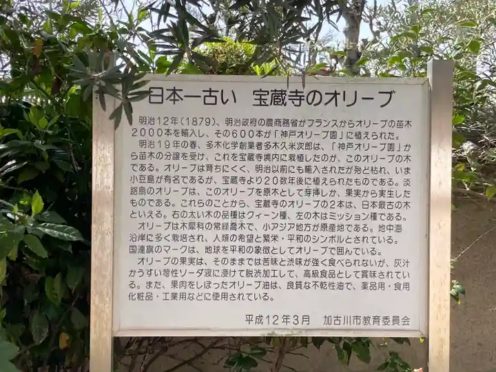 宝蔵寺の歴史