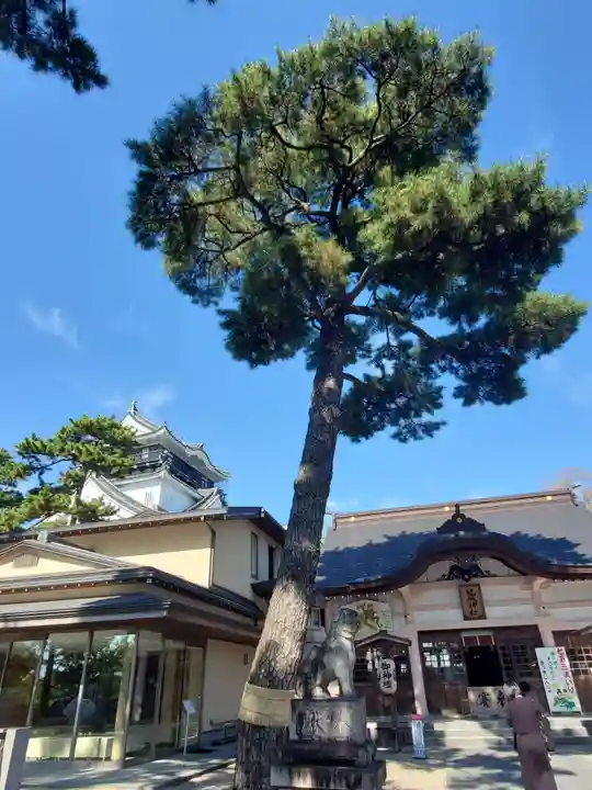 龍城神社のその他建物
