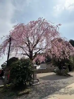 太平山神社(栃木県)