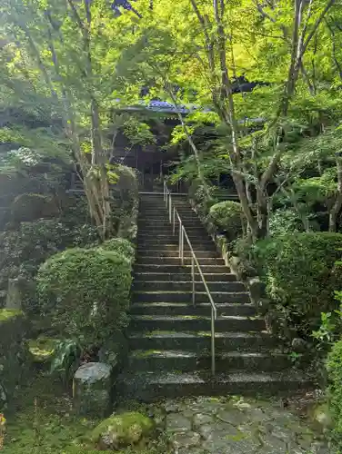 勝持寺（花の寺）(京都府)