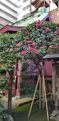 笠間稲荷神社 東京別社(東京都)