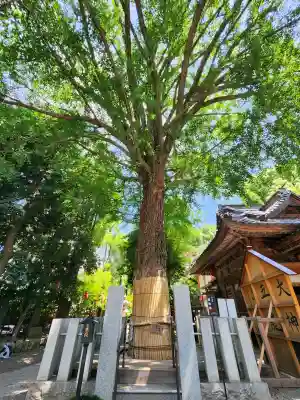 田無神社(東京都)