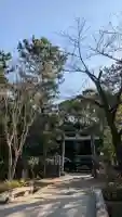宮山神社の{uncategorized: "未分類", other: "その他", undefined: "問題あり", building: "その他建物", grave: "お墓", sacred_gate: "鳥居", guardian: "狛犬", statue: "像", buddha: "仏像", history: "歴史", nature: "自然", garden: "庭園", animal: "動物", pagoda: "塔", temizu: "手水舎", mountain_gate: "山門・神門", sanctuary: "本殿・本堂", subordinate: "末社・摂社", art: "芸術", scenery: "景色", jizo: "地蔵", ema: "絵馬", goshuin: "御朱印", omikuji: "おみくじ", items: "授与品その他", amulet: "お守り", goshuincho: "御朱印帳", eats: "食事", festival: "お祭り", votive_dance: "神楽", shichigosan: "七五三参", wedding: "結婚式", experience: "体験その他", initially: "初詣", around: "周辺", anti_infection: "感染症対策"}