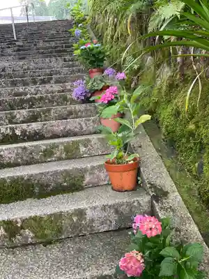 観音寺(京都府)