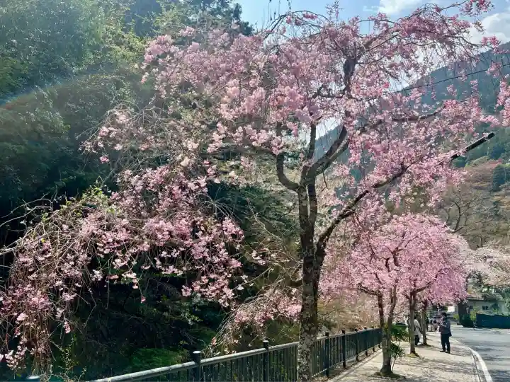 林蔵坊(山梨県)