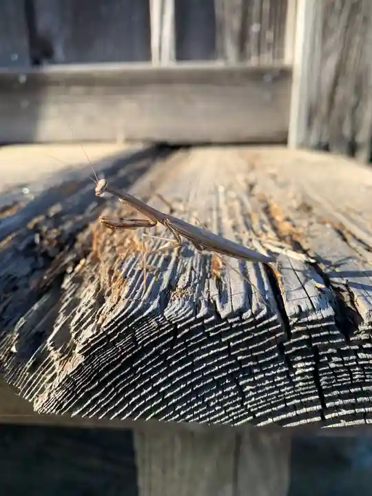 長勝寺(茨城県)