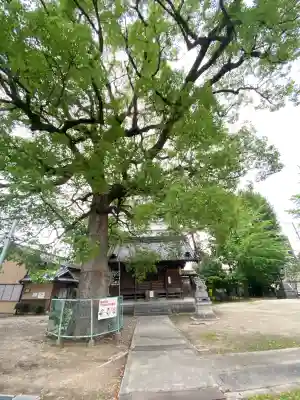 神明宮（諸神神社）(愛知県)