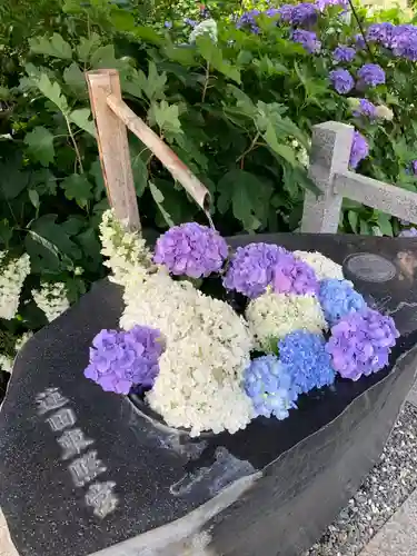 蓮田東照宮の手水舎