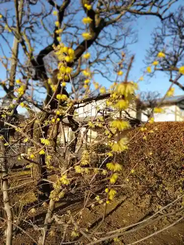 清泰寺の庭園