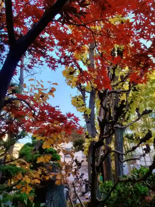 吉祥院(東京都)