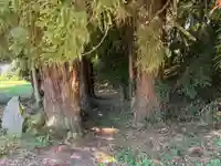 稲積神社(栃木県)