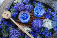 阿邪訶根神社の手水舎