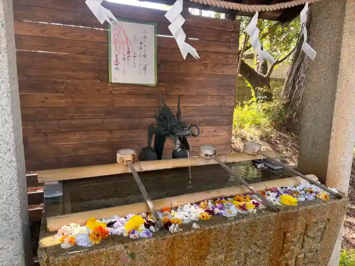 星宮神社の{uncategorized: "未分類", other: "その他", undefined: "問題あり", building: "その他建物", grave: "お墓", sacred_gate: "鳥居", guardian: "狛犬", statue: "像", buddha: "仏像", history: "歴史", nature: "自然", garden: "庭園", animal: "動物", pagoda: "塔", temizu: "手水舎", mountain_gate: "山門・神門", sanctuary: "本殿・本堂", subordinate: "末社・摂社", art: "芸術", scenery: "景色", jizo: "地蔵", ema: "絵馬", goshuin: "御朱印", omikuji: "おみくじ", items: "授与品その他", amulet: "お守り", goshuincho: "御朱印帳", eats: "食事", festival: "お祭り", votive_dance: "神楽", shichigosan: "七五三参", wedding: "結婚式", experience: "体験その他", initially: "初詣", around: "周辺", anti_infection: "感染症対策"}