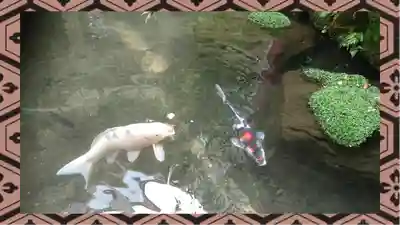 金刀比羅神社(東京都)