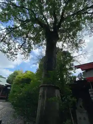 武蔵野八幡宮(東京都)