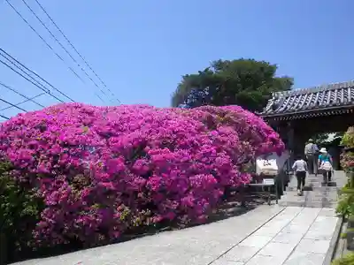 安養院　(田代寺）の周辺