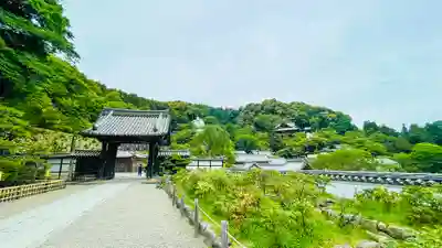 長谷寺(奈良県)