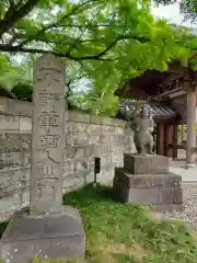 大円寺の建物その他