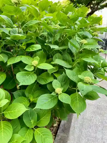 當光寺(東京都)