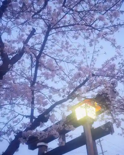 尾張大國霊神社（国府宮）(愛知県)