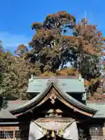 小村神社の本殿・本堂