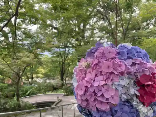 宝満宮竈門神社(福岡県)