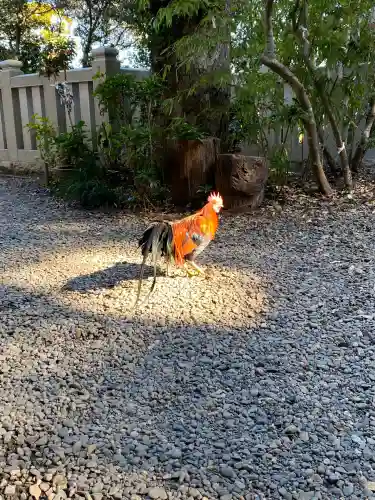大甕神社(茨城県)